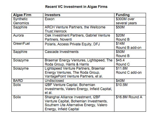 Investing in Algae Biofuel