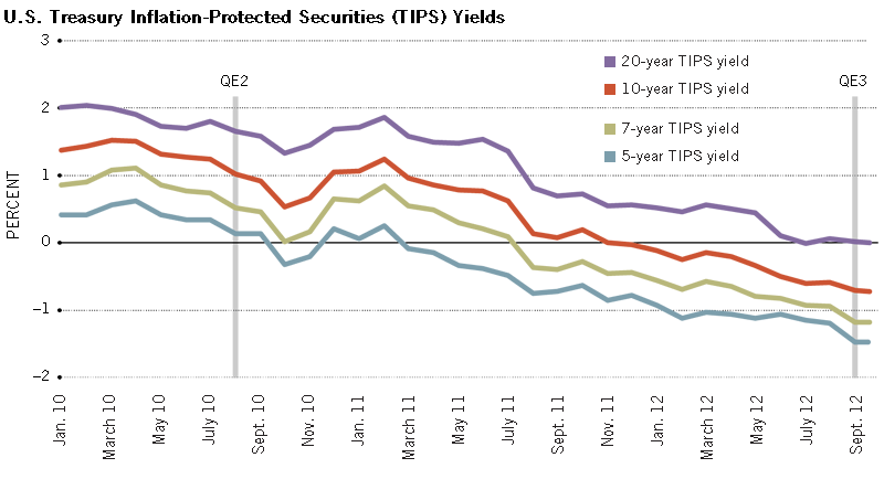 Investing in Treasury Inflation Protected Securities (TIPS)