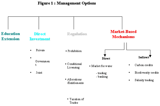 Margin Requirements When Trading Options