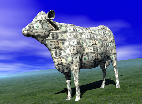 Misguided homeowners treat houses like cash cows