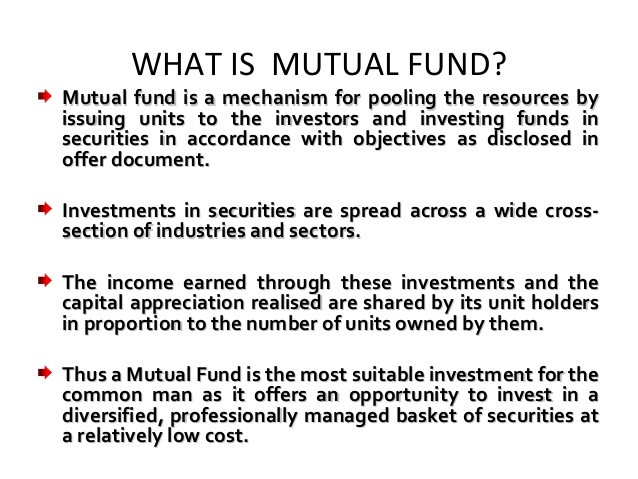 Mutual Fund Ratings Crucial or Insignificant