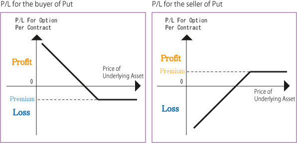 Options Basics Puts And Calls