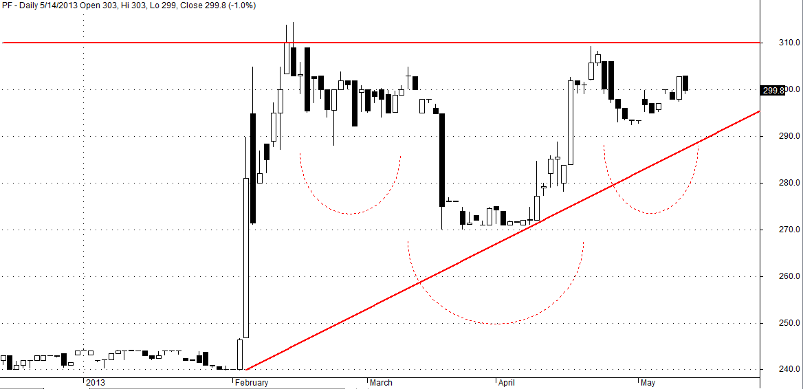 Private Investor Plan (PIP)