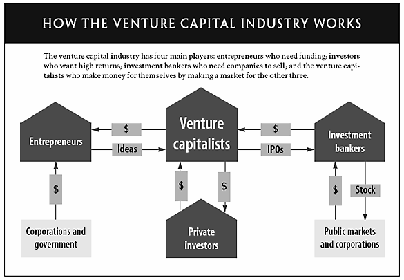 Investment Capitalist