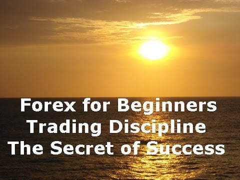 Learn The Best Tips For Successful Forex Trading