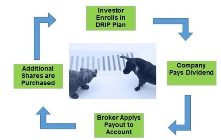 Should You Automatically Reinvest Your Dividends