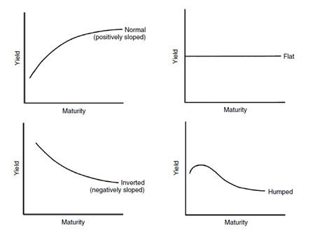 Yield Curve