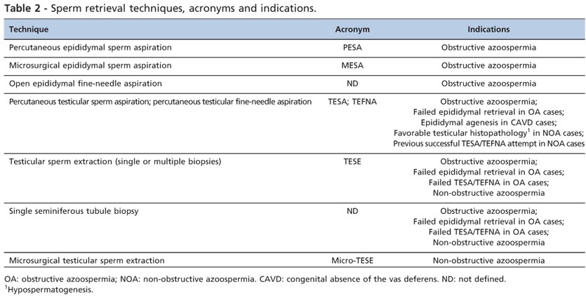 Advantages and Disadvantages of Mini Options