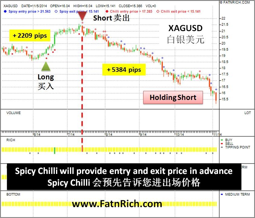 BuyandHold in Forex Trading Strategy