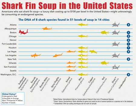 Chart Shark s Day Trading Blog