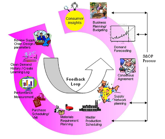 Demand Planning & Forecasting