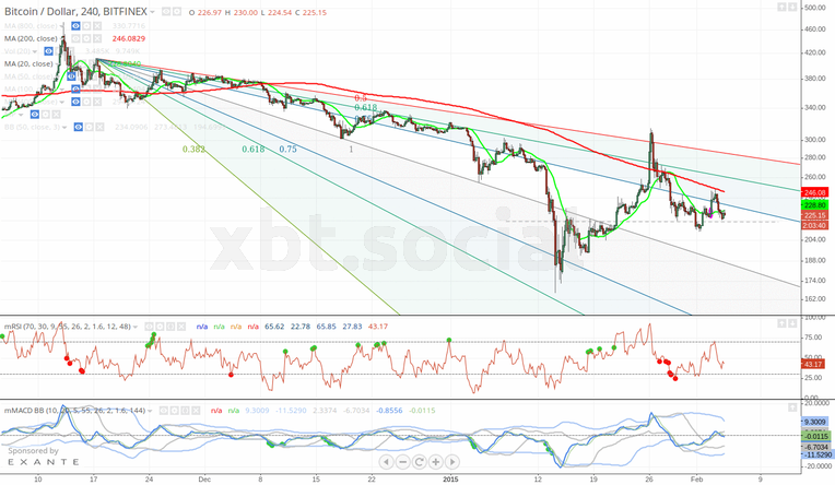 Do Bitcoins hold intrinsic value or are they overvalued