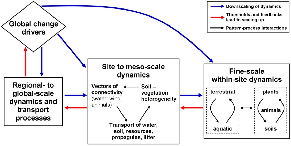 Globalization and the System