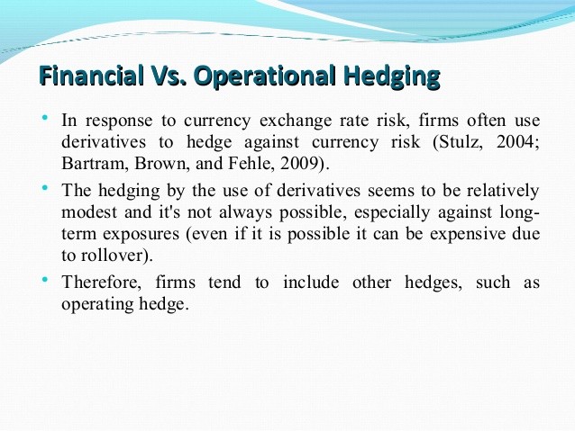 Term Paper on Hedging Against Currency Risk