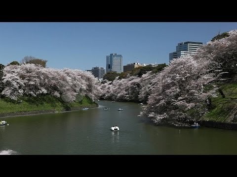 Tankan survey US data likely to boost Tokyo stocks Yahoo Finance UK