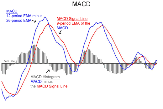 Trading Stocks with the MACD Indicator