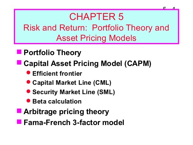 The Capital Asset Pricing Model_1